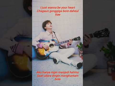 Jeong Sewoon  (정세운) Love in Fall (온도차) [ROM/INDO] Lyrics