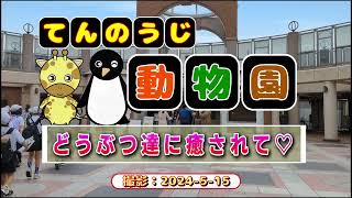 天王寺動物園☆どうぶつ達に癒されて