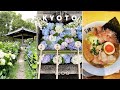 일본여행 | 반차쓰고 교토 산책 | 후지모리 신사 수국정원 | 인생 라멘 이노이치, 카페 빵집 투어 | 일본 브이로그 vlog