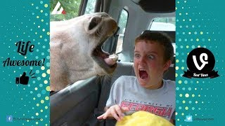 Try Not to Laugh Funny Kids Fails 2018 Funny Kids and Animals Compilation