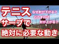 【テニス】サーブで絶対に必要な肩の動き！　なぜ肘が下がる？どうすれば肘が上がる？　【コメント返答動画】【菅尾アスレティックトレーニングセンター】【はちおうじ庭球塾】