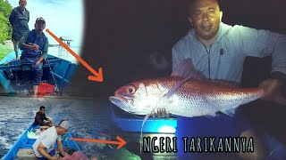 Umpan Ikan Iris Tarikannya Bikin Pemancing Lupa Pulang Masohi