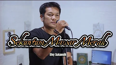 SEKUNTUM MAWAR MERAH - Elvy Sukaesih || Dangdut Cover Zanca