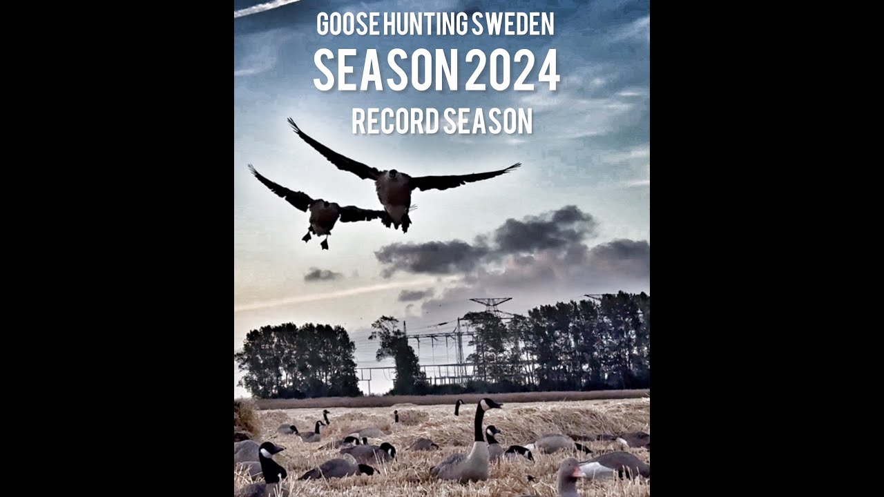 Season 2024 record season