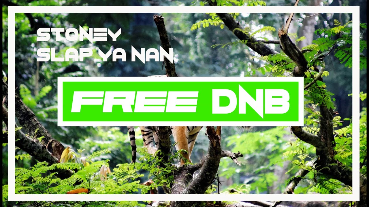 free dnb loops Stoney ~ Slap ya Nan {Free Dnb Download}