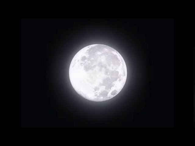 Kotik - Ptic - Lunar Xenakis