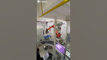 Intelligent Bag Depalletizing & Palletizing  #3dvision #automation #robotics #AI #innovation #tech