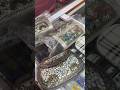Jaipur Vlog Part 2: Bapu Bazaar #yshorts #bapubazaar #shoppingvlog