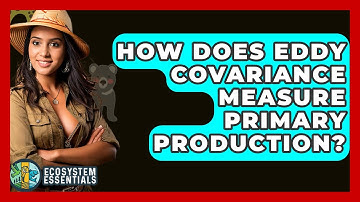 How Does Eddy Covariance Measure Primary Production? - Ecosystem Essentials