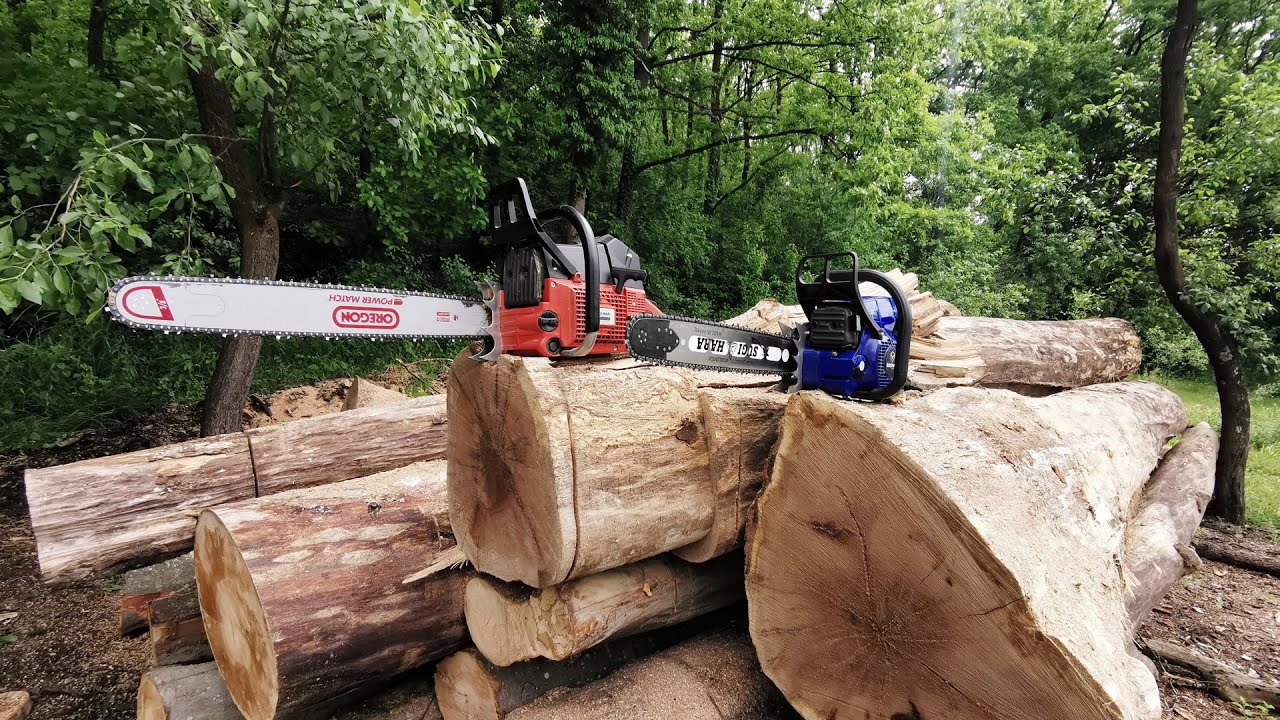 Holzfforma G366 team up with Dolmar 9010 (90cc and 60cc chainsaws