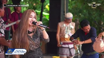 MABOK BAE ~ IIN VARERA || CITRA NADA LIVE DESA BULAKELOR (BLOK PERBATASAN) || KETANGGUNGAN - BREBES
