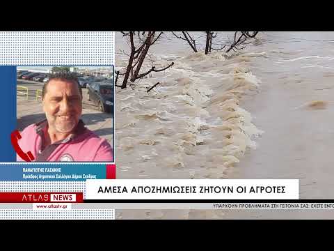 Σε απόγνωση οι