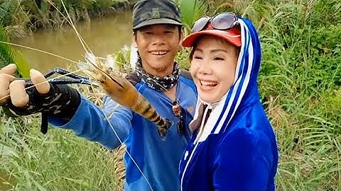 Câu tôm gò công lên đủ Tôm Cua Cá ,Tôm khủng  cầm như con gà.