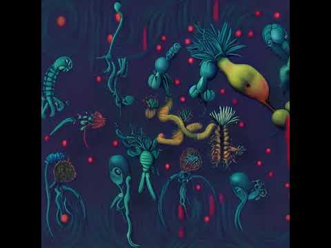 Stable Diffusion - Microorganisms - AI Animations #Shorts