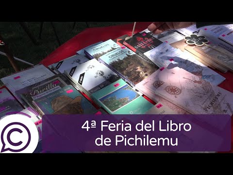 4ª Feria del Libro de Pichilemu incluyó talleres y magia