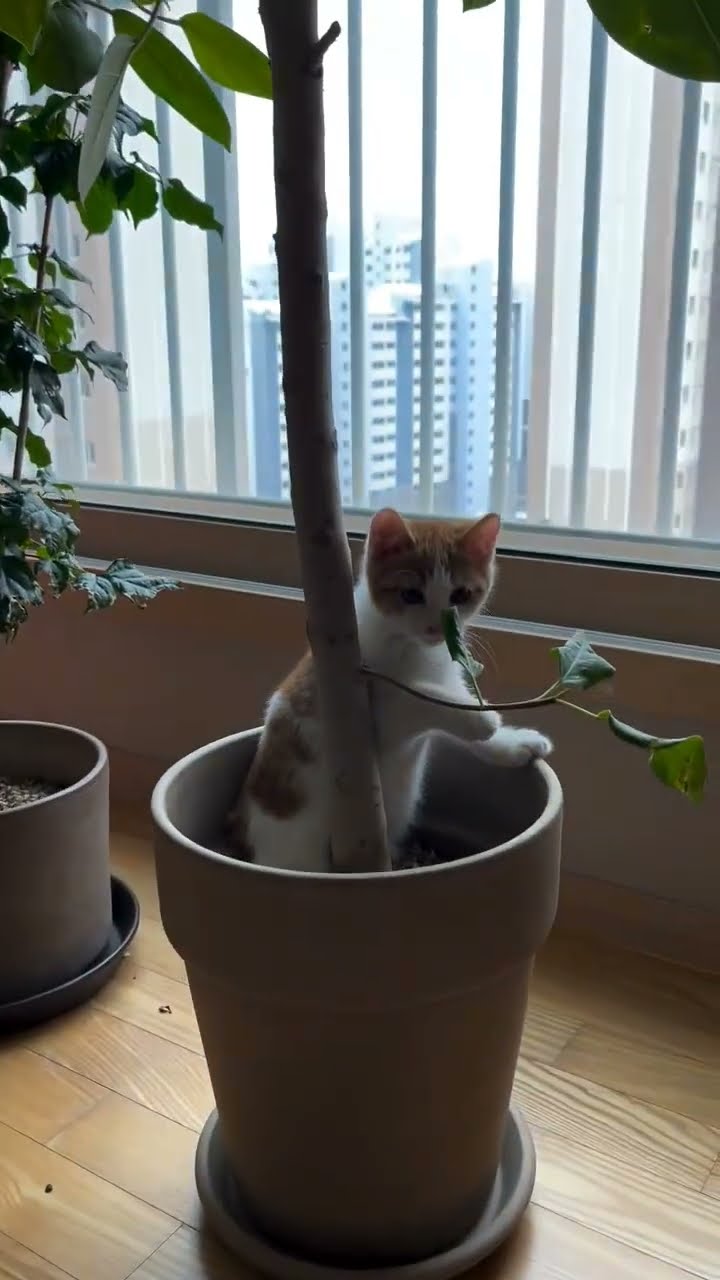 Plants finally bloomed