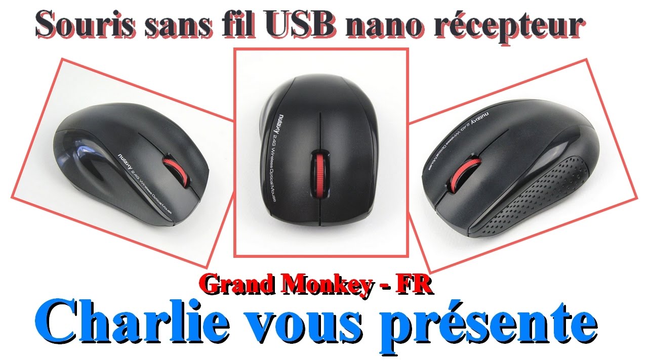 Souris sans fil USB nano récepteur Grand Monkey 