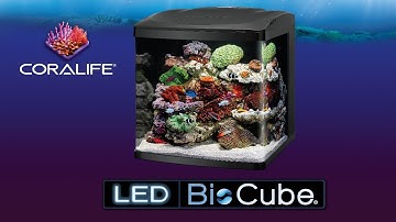 Coralife LED Bio Cube 32 / 16 gallon all in one aquariums for saltwater or freshwater