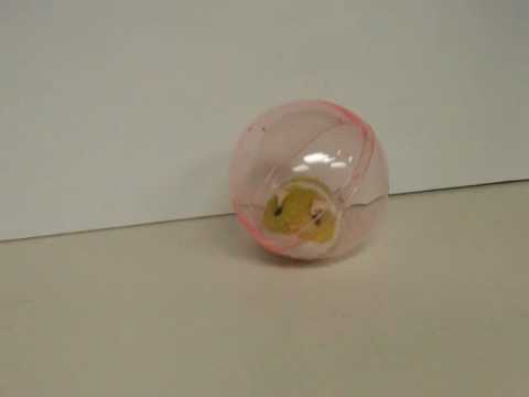 happy hamster rolling ball toy