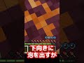 マイクラ豆知識 part5