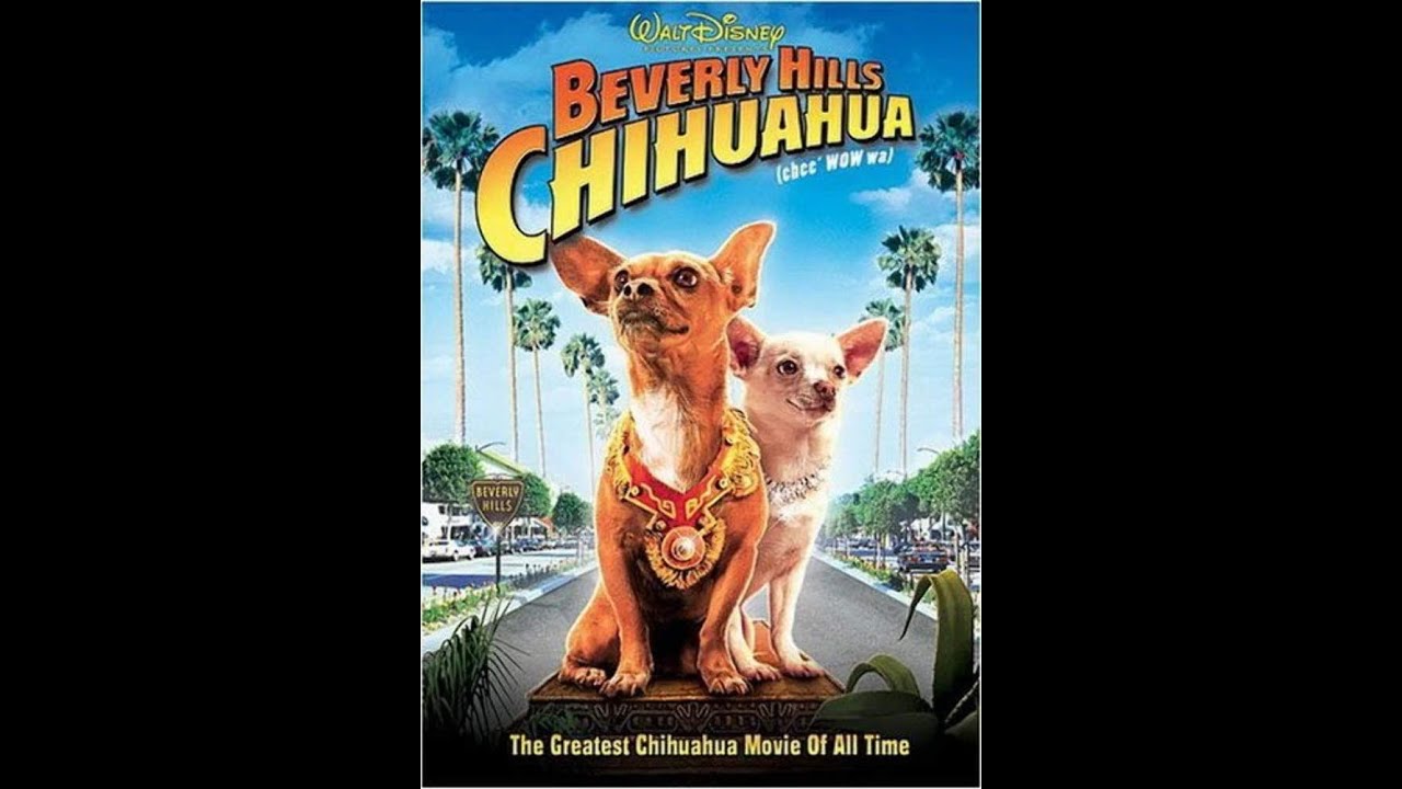 Beverly Hills Chihuahua 2009 DVD Overview