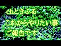 コロナで変わった次のワンステップ。 #アクアリウム　#熱帯魚