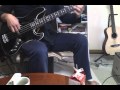スピッツ「不思議」を必死に弾いてみた【bass cover】