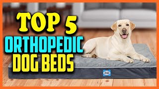 Top 5 Best Orthopedic Dog Beds Reviews 2025 Top 5 Best Orthopedic Dog Beds Reviews 2025