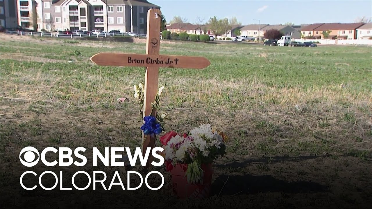 Wife, mother remembers loved ones who died in Thornton motorcycle crash