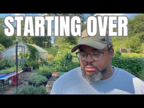What I'd Do Differently If I Started My Homestead Today - YouTube