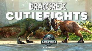 The DRACOREXT Family Unit is almost here! And More!