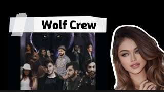 Wolf Crew TIkTOK| Shahveer Songs Compilation | By Nisha Seher