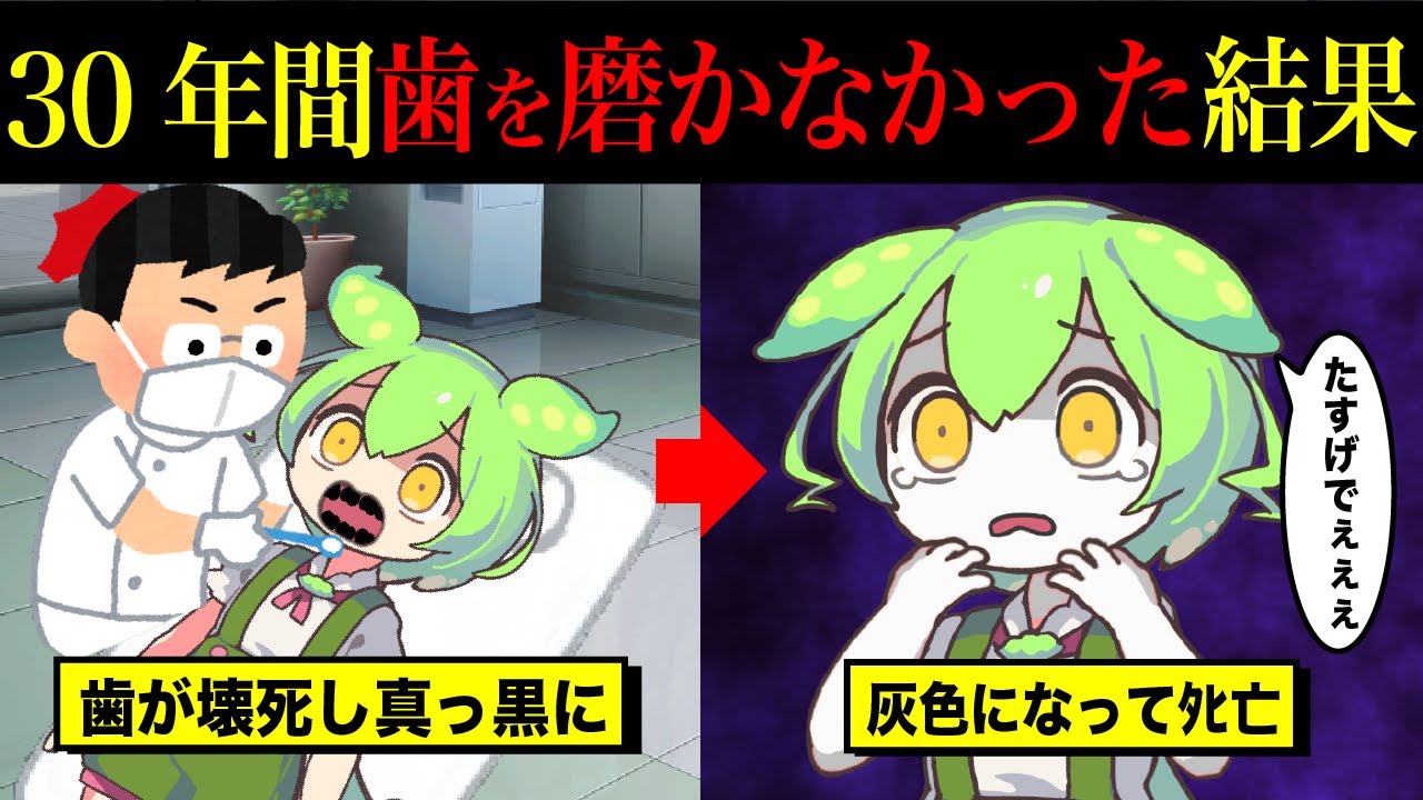 【実話】30年間もの間歯を磨かなかった結果【ずんだもん＆ゆっくり解説】