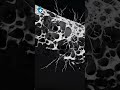 What is Osteoporosis?