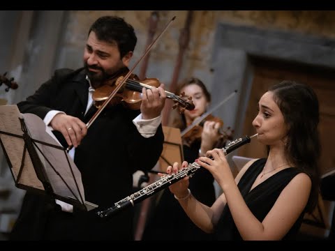 видео: J.S.Bach Concerto for Oboe & Violin in D minor BWV 1060