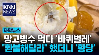 망고빙수에서 '바퀴벌레'..."환불해달라" 했더니... / KNN