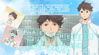 CCP aesthetic transitions part 2