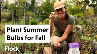 SUMMER BULBS for FALL BLOOMS — Ep. 276