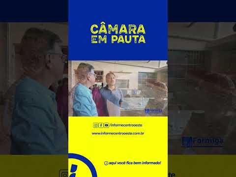 CÂMARA EM PAUTA - Entenda a diferença entre Poder Legislativo e Poder Executivo