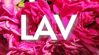 Lav - 20.06.-30.06.