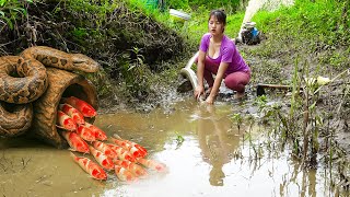 Fishing Video || What She Pulled From The Depths Was WILD! | Lyly Fishing
