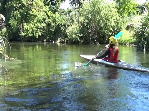 Les Sorgues (Vaucluse) : Canoë kayak et milieux naturels