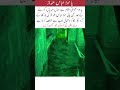 Water respectfully circumambulates Hazrat Abbas holy shrine#islamicshorts#islamicvideo#islamicstatus