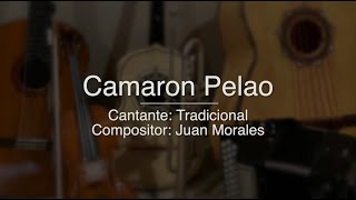 Camaron Pelao - Puro Mariachi Karaoke - Tradicional