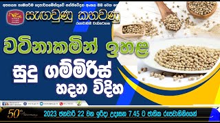 වටිනාකමින් ඉහල සුදු ගම්මිරිස්  නිෂ්පාදනය