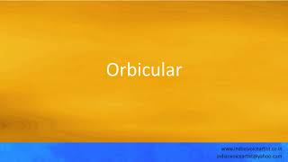 Pronunciation of the word(s) "Orbicular".