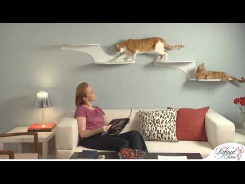 The Refined Feline Cat Furniture Showcase