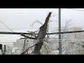 Погодный коллапс накрыл Владивосток