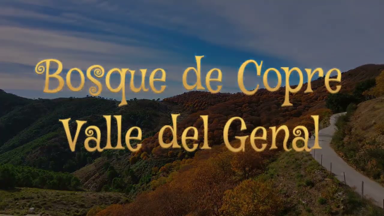 Bosque del Copre 23/11/2025