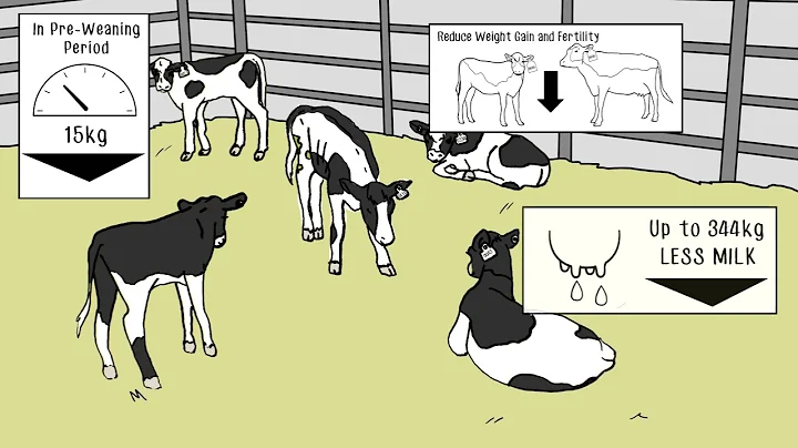 Calf Diarrhea: Causes, Impacts, and Strategies for Prevention